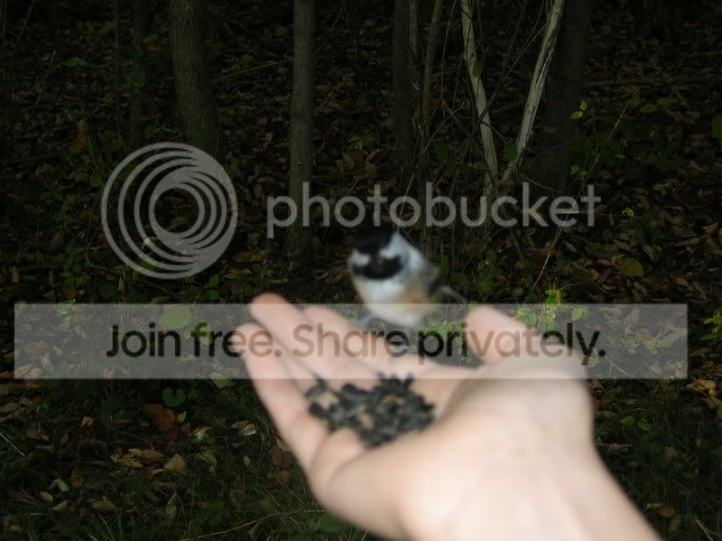 dscn2315.jpg