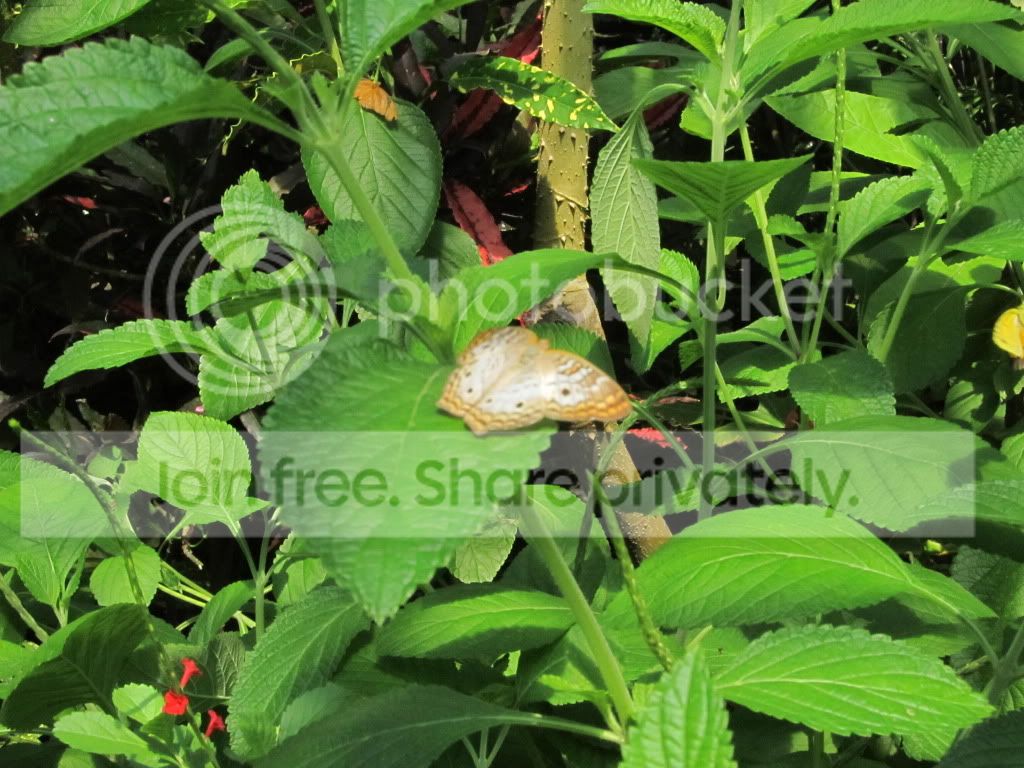 IMG_8344.jpg