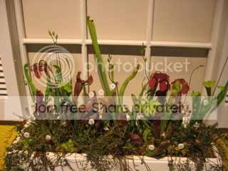 IMG_7072.jpg