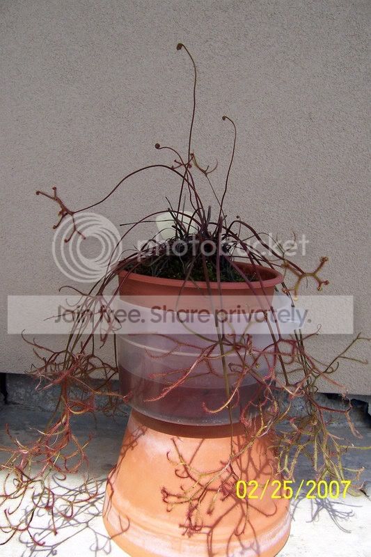 100_5471.jpg
