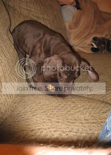 IMG_1049.jpg