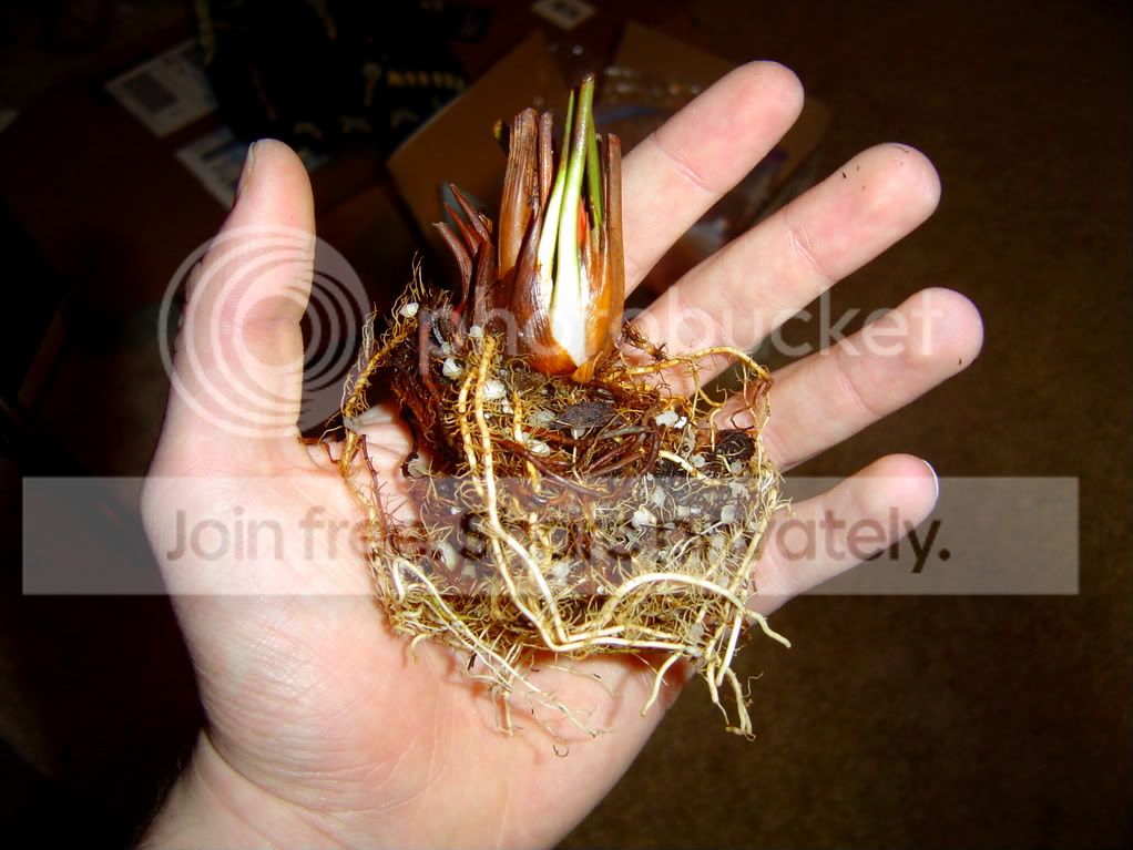 StufffromAndy004.jpg