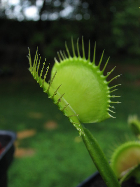 6029590621_b3e34c3517_z.jpg