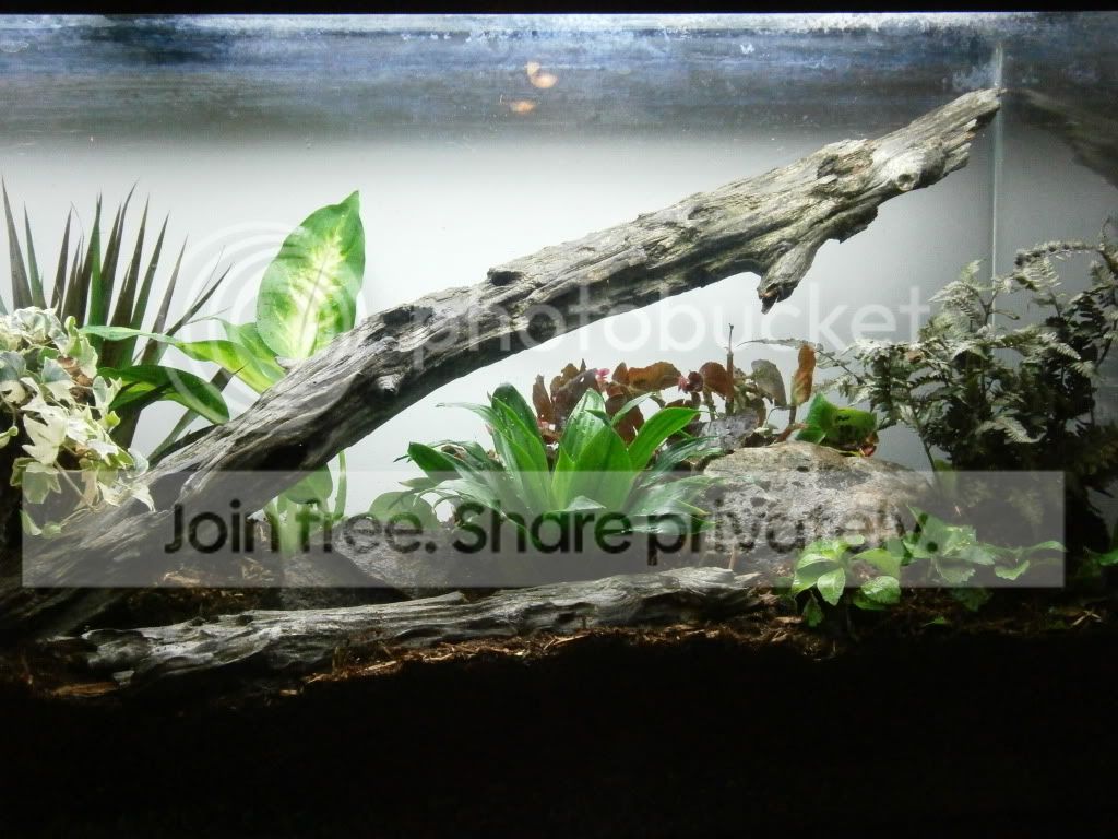vivarium004.jpg