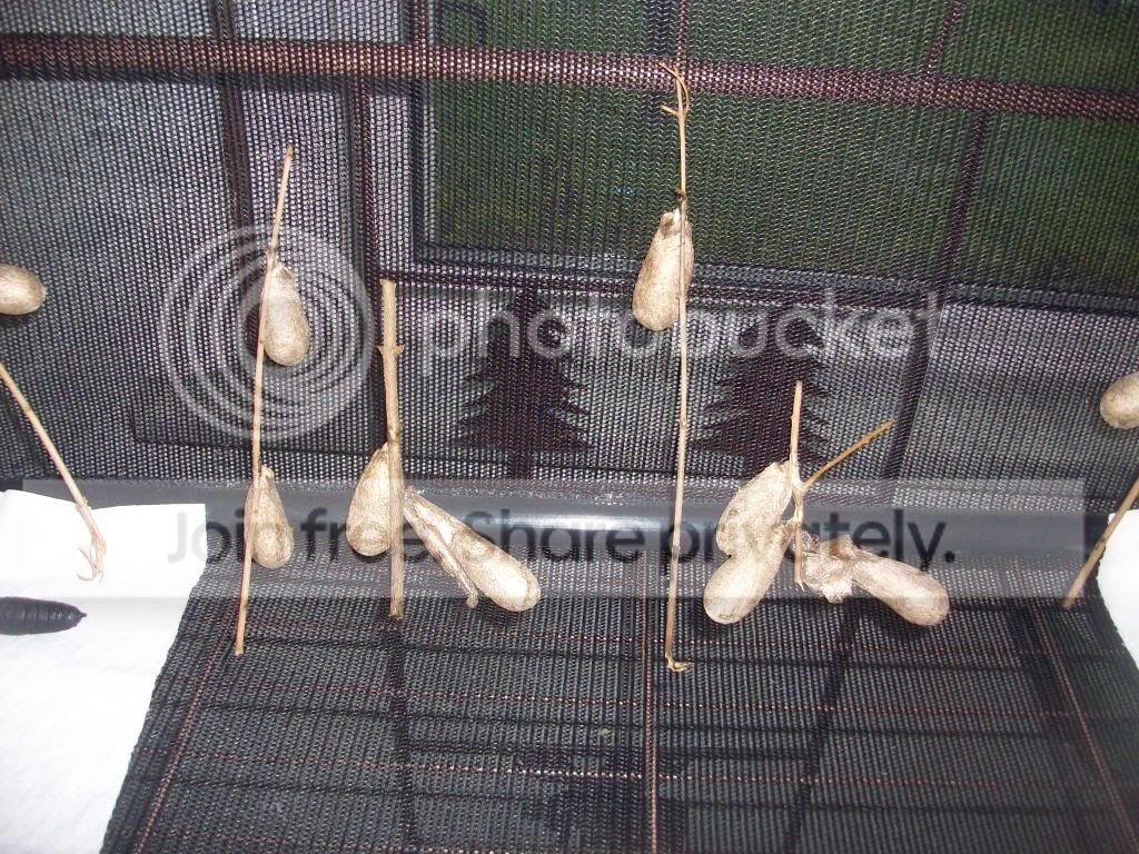 100_2793.jpg
