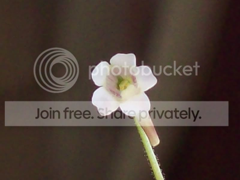 100_9722.jpg
