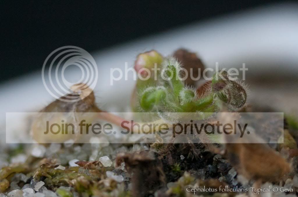 DSC_4956_zps12b28bd5.jpg