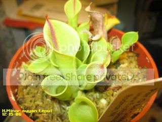 IMG_5969.jpg