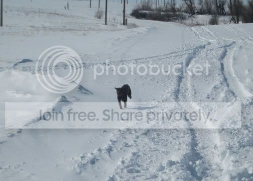 IMG_1159.jpg