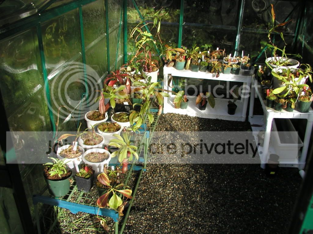 P1010030-1.jpg