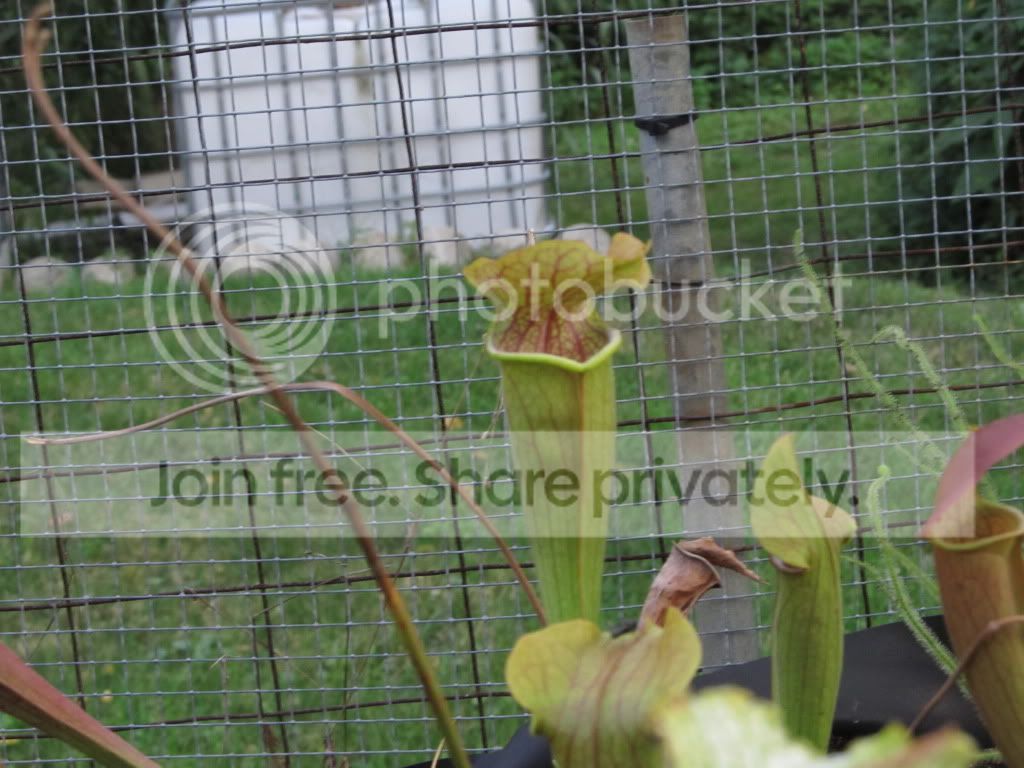 IMG_8632.jpg