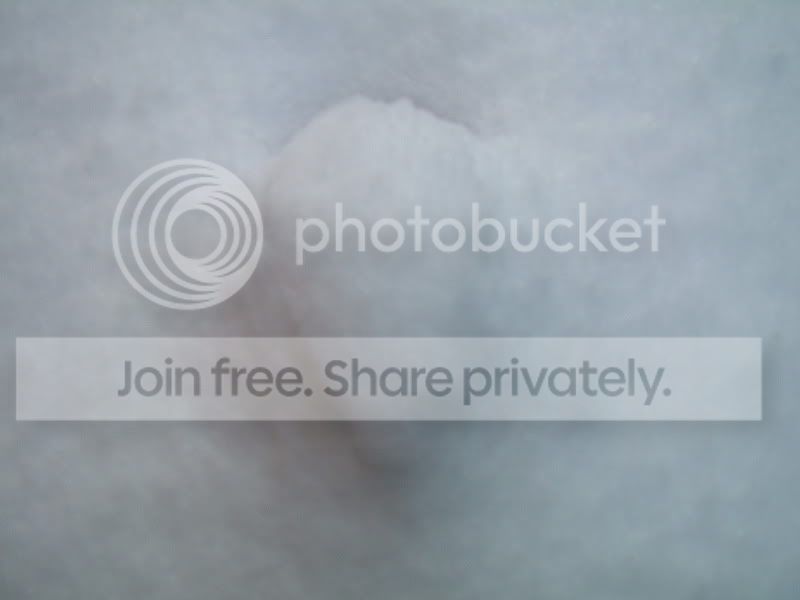 DSCF9894.jpg