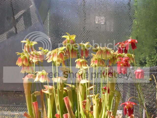 DSCN0325.jpg