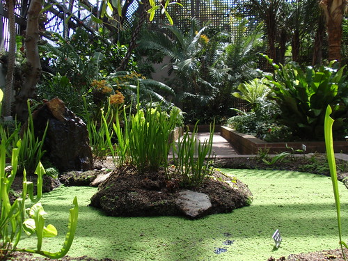 3537236112_c9199536d8.jpg