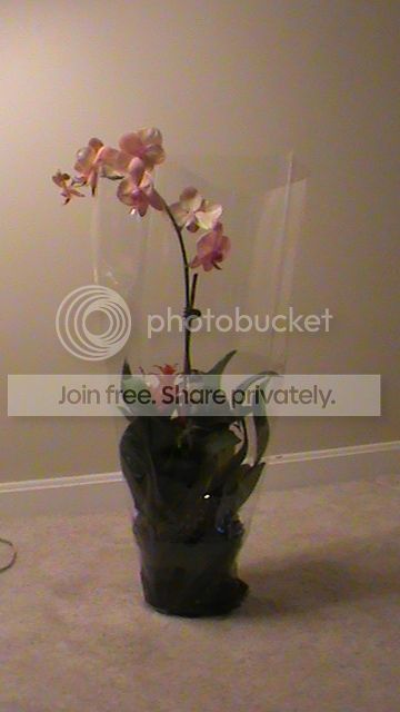 DSC00910_zps11fcec9a.jpg