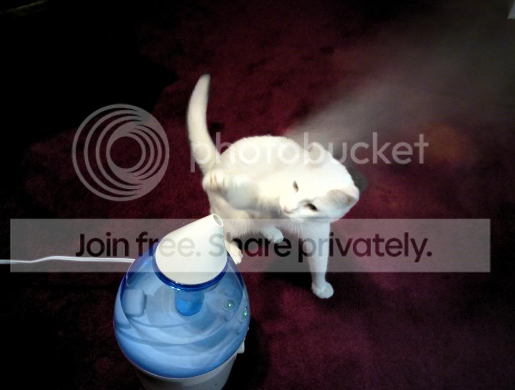 20111120_008b.jpg