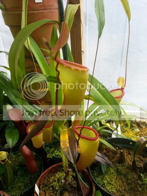 20130312_151404_zps0c9c1a70.jpg