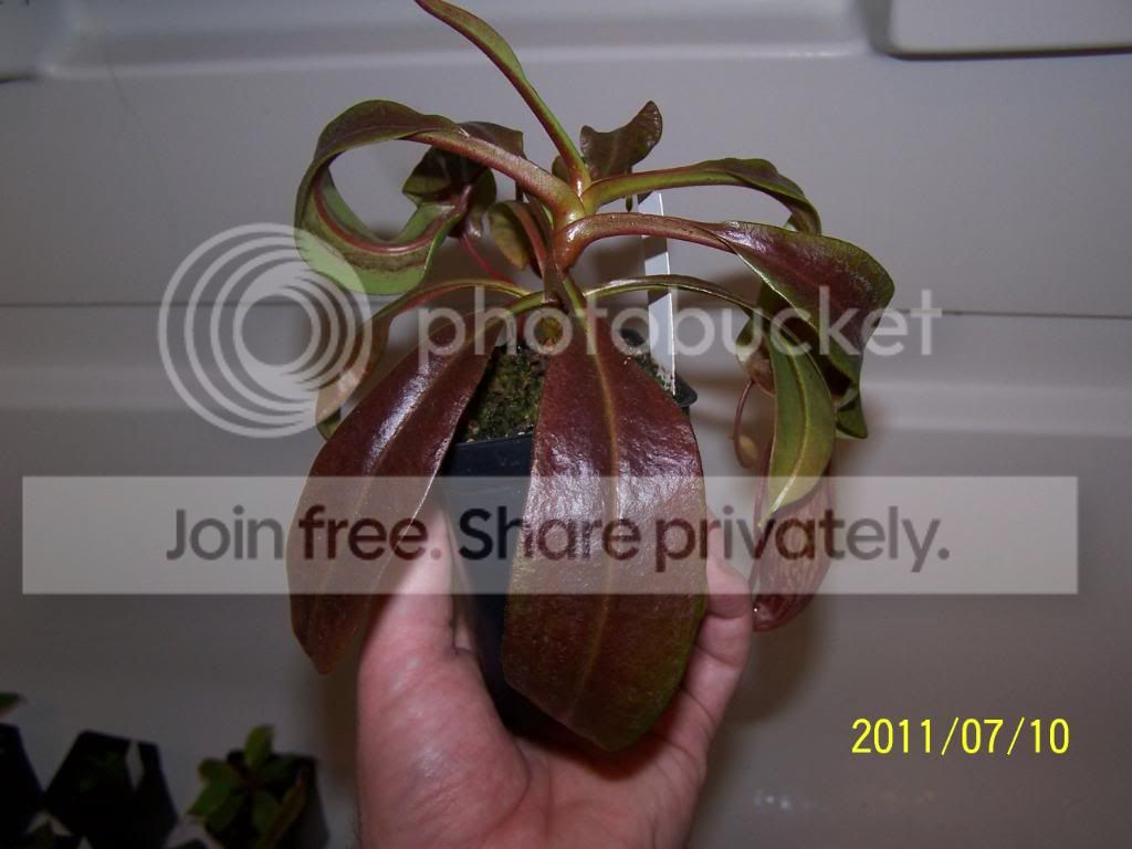100_4780.jpg