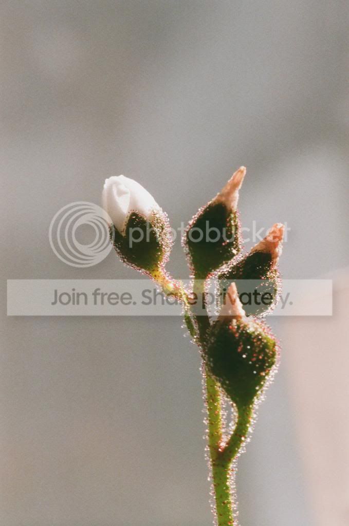 01220019copy.jpg