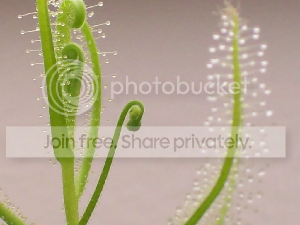Picture-7.jpg