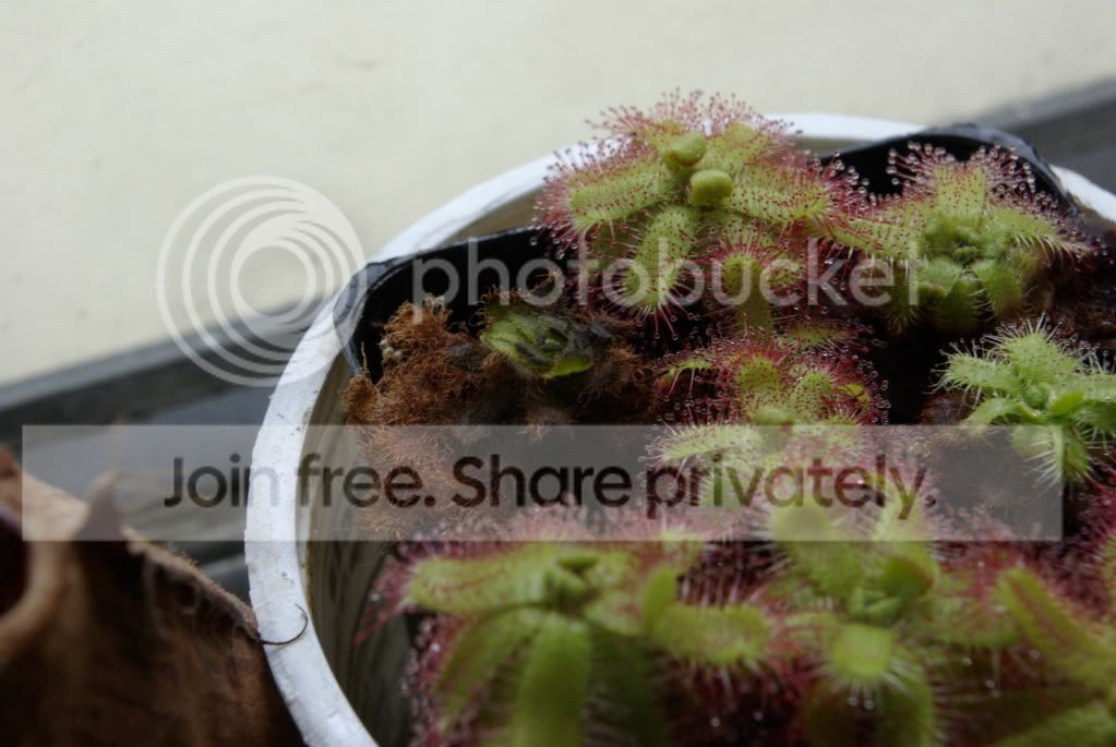 _IGP0709.jpg