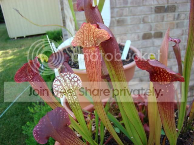 6-28-08050.jpg
