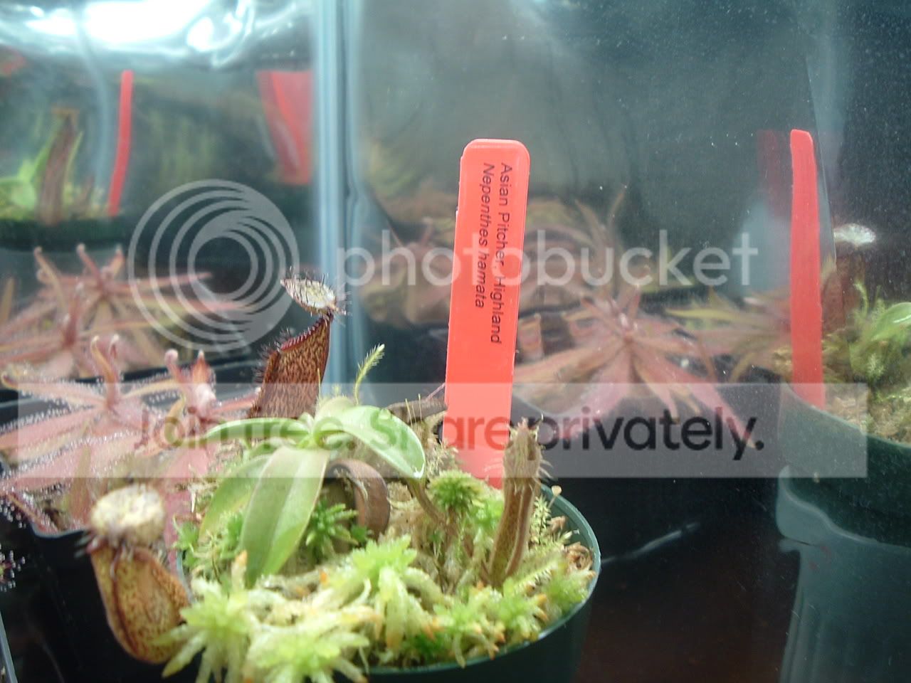 DSCF2182.jpg