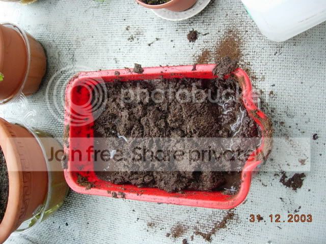 DSCN3403.jpg