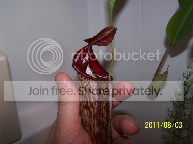 100_4978.jpg