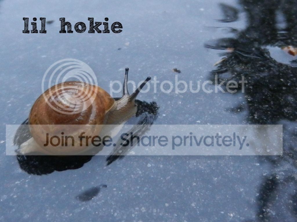 Snailsigned.jpg