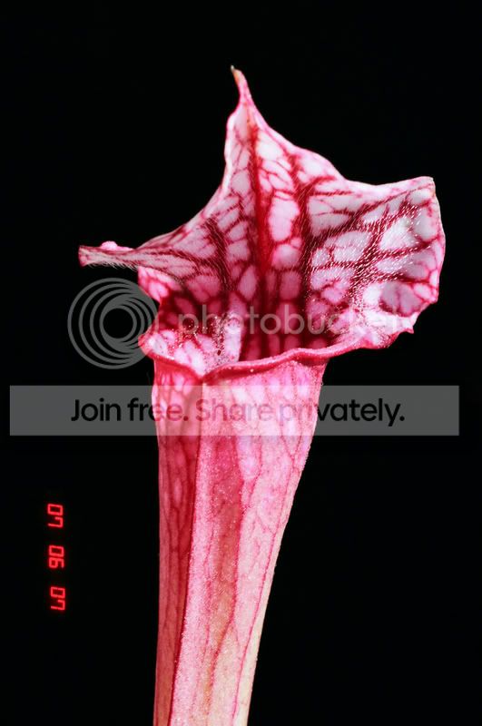03570018.jpg