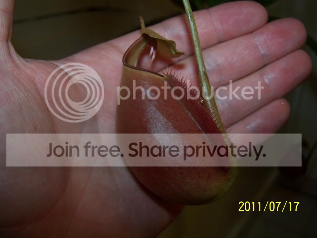 100_4891.jpg