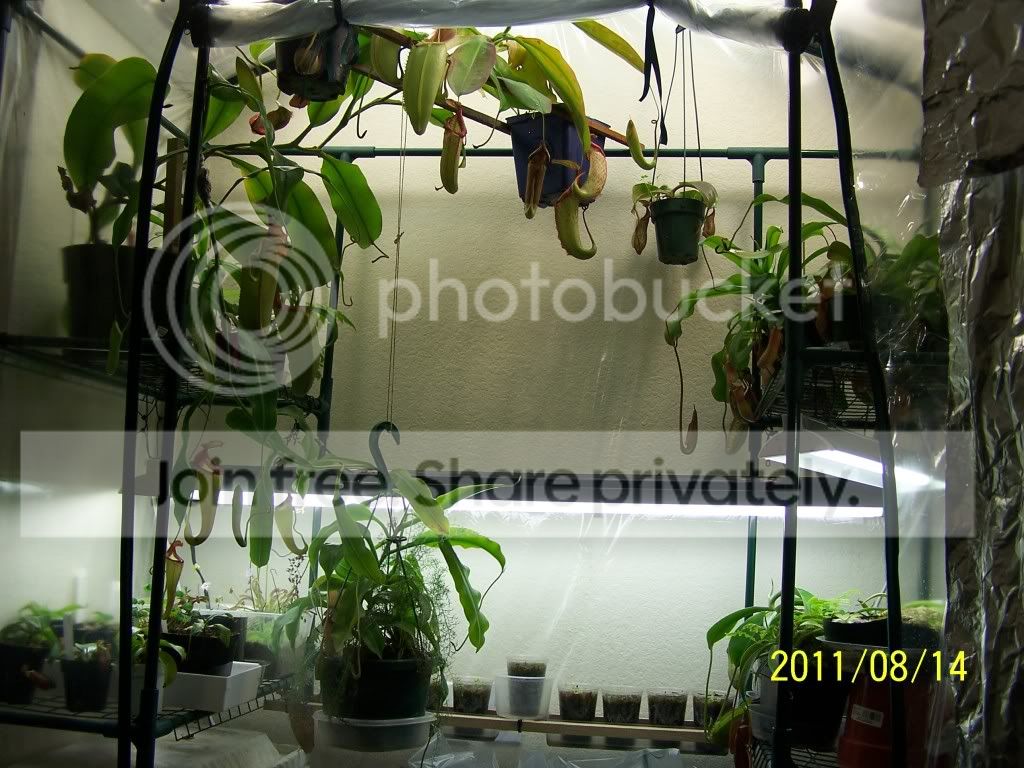 100_5051-1.jpg