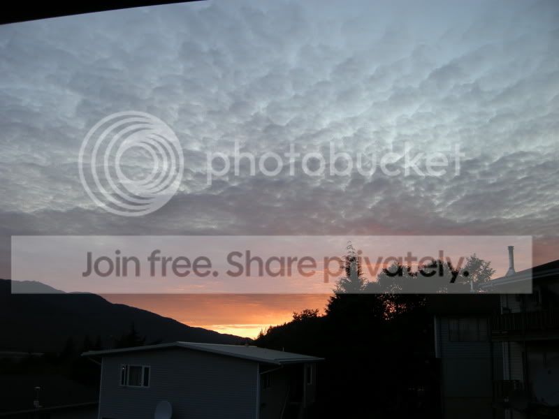 DSCN6208.jpg