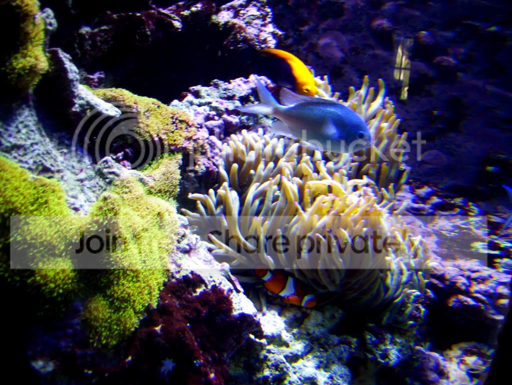 100_5665.jpg