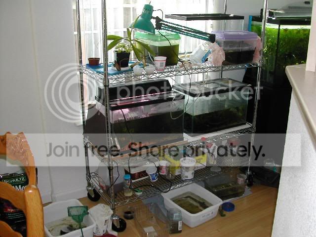 DSCN8225.jpg