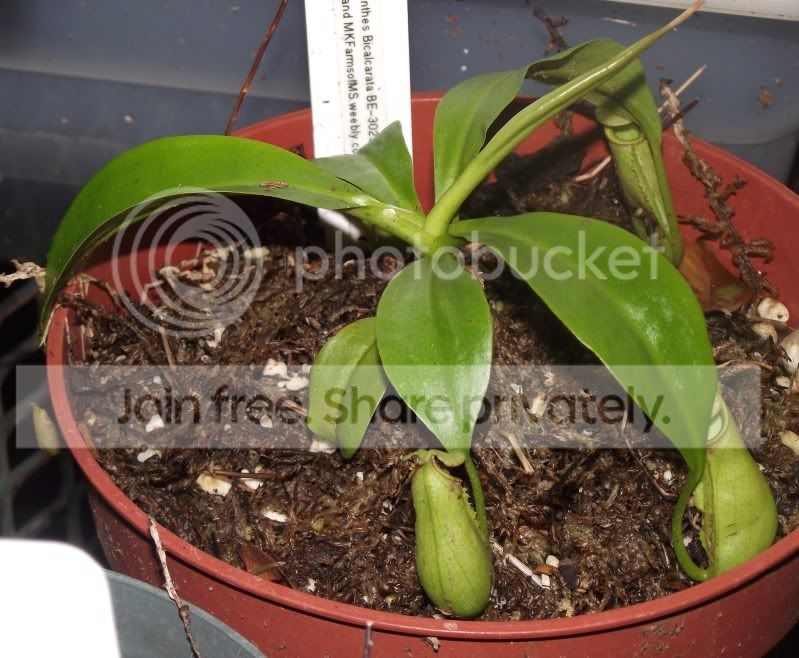 DSCF5491.jpg