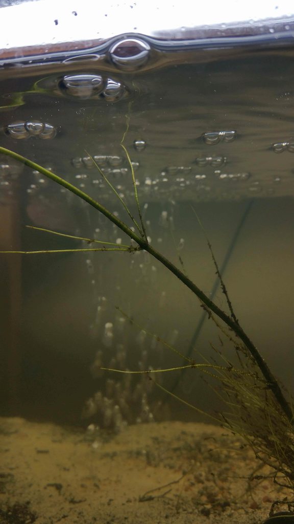 zIWFkp8h.jpg