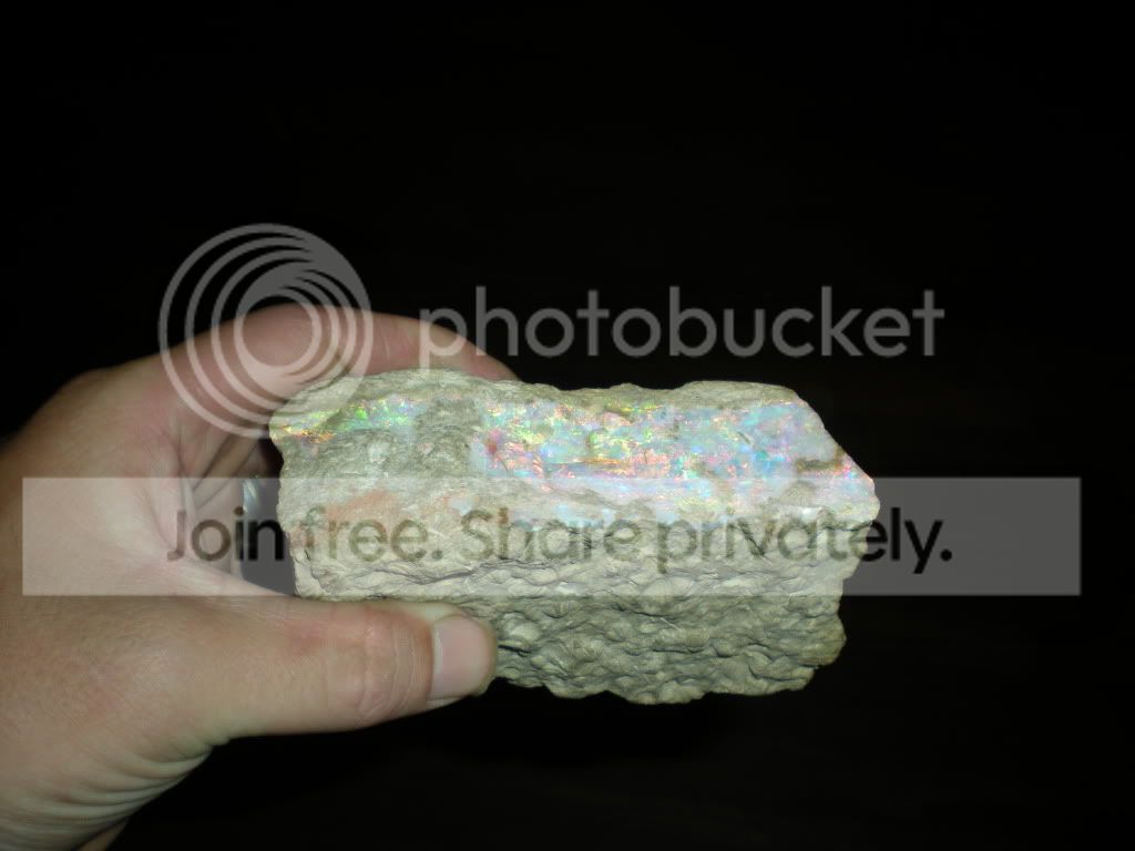 DSCN7174.jpg