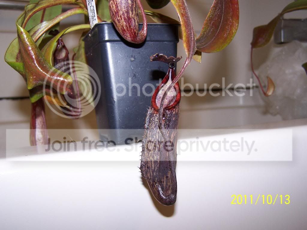 100_5363.jpg