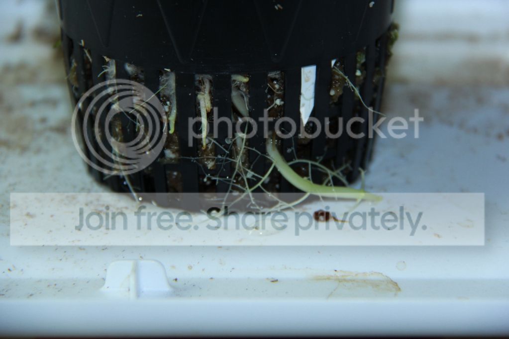 dd069ad5503f5166e0efb4b0836f7e82.jpg