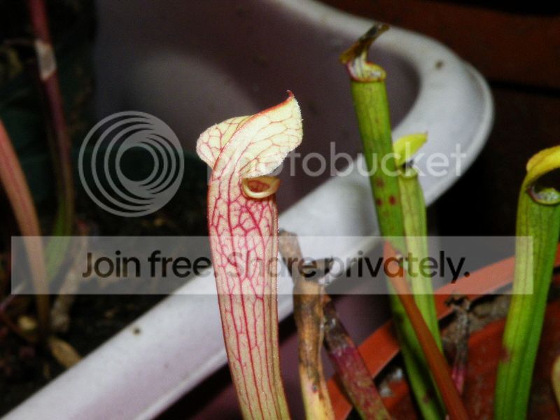 DSCF9502.jpg