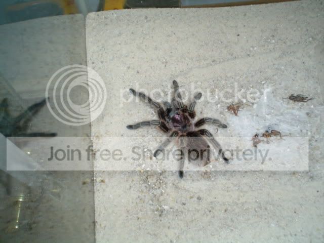 DSC00021.jpg