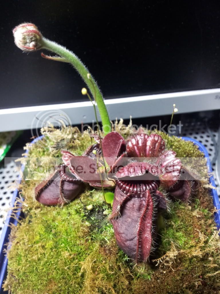 2012-04-11001324.jpg