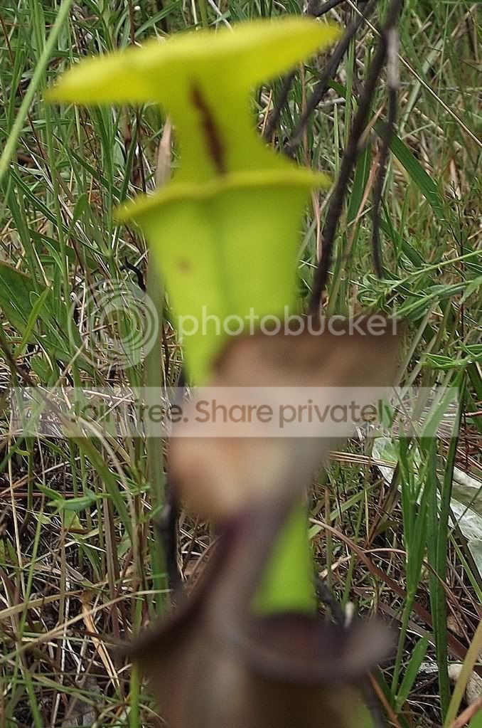DSCF8063.jpg