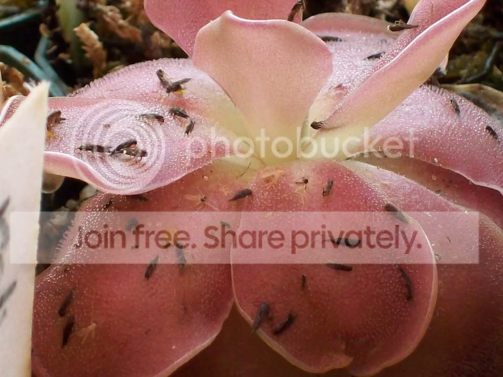 Picture016.jpg