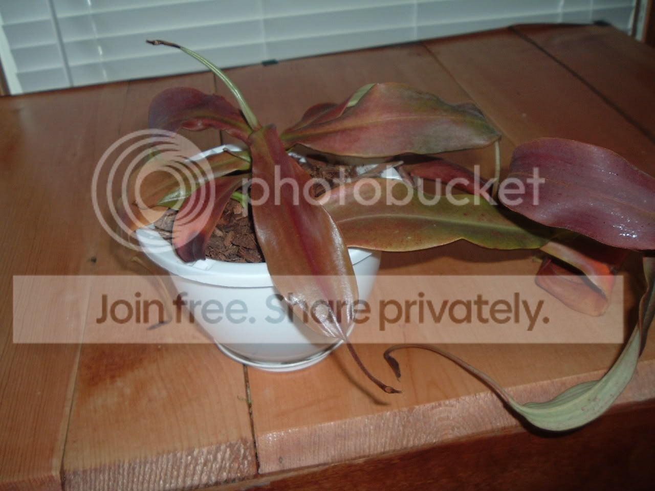 DSCF2688.jpg