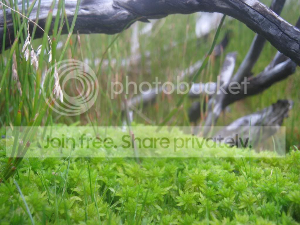 IMG_2631.jpg