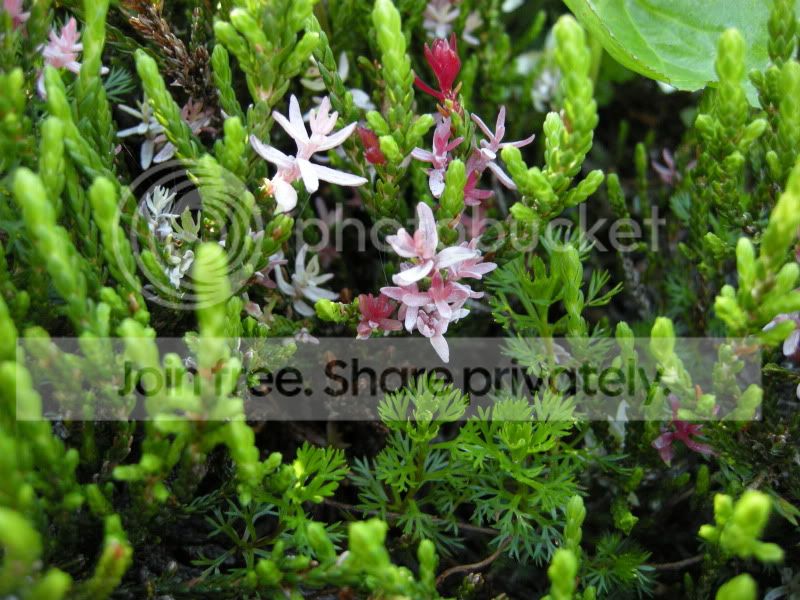 DSCN6219.jpg