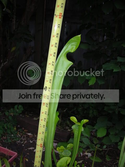 DSCN2930.jpg
